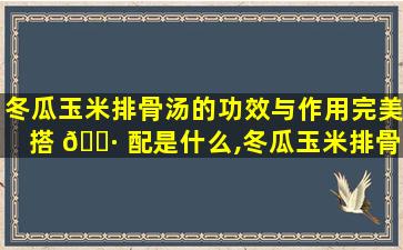冬瓜玉米排骨汤的功效与作用完美搭 🌷 配是什么,冬瓜玉米排骨汤的功效与作用 完美搭配